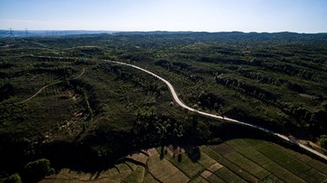 DJI_0011
