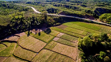 DJI_0002_1