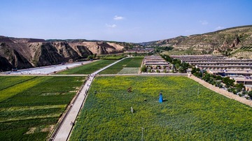 DJI_0001