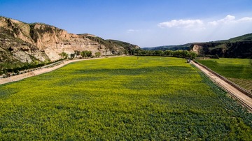 DJI_0008