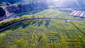 DJI_0034 (2)