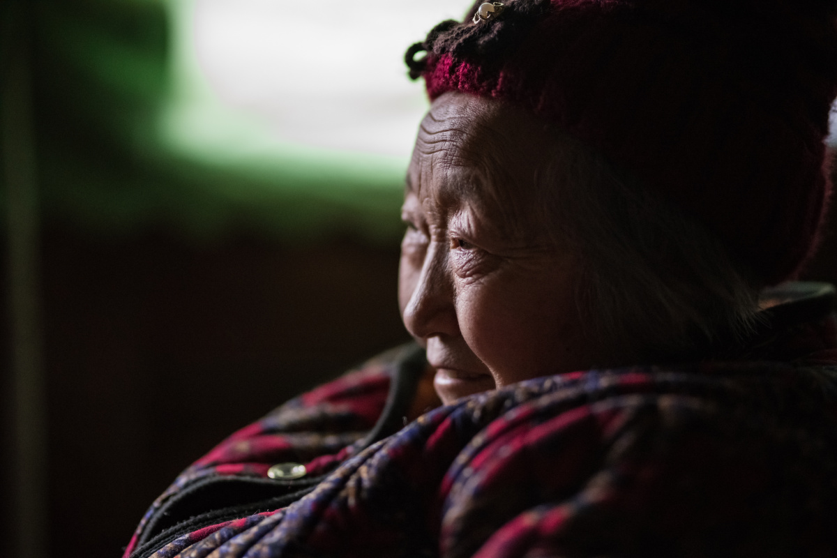 一年没见的奶奶,又苍老了许多