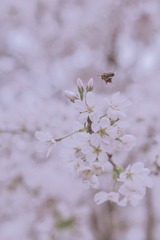 AF03A8BE-537C-4D42-8ED0-69A2A9A7BB2E/L0/001