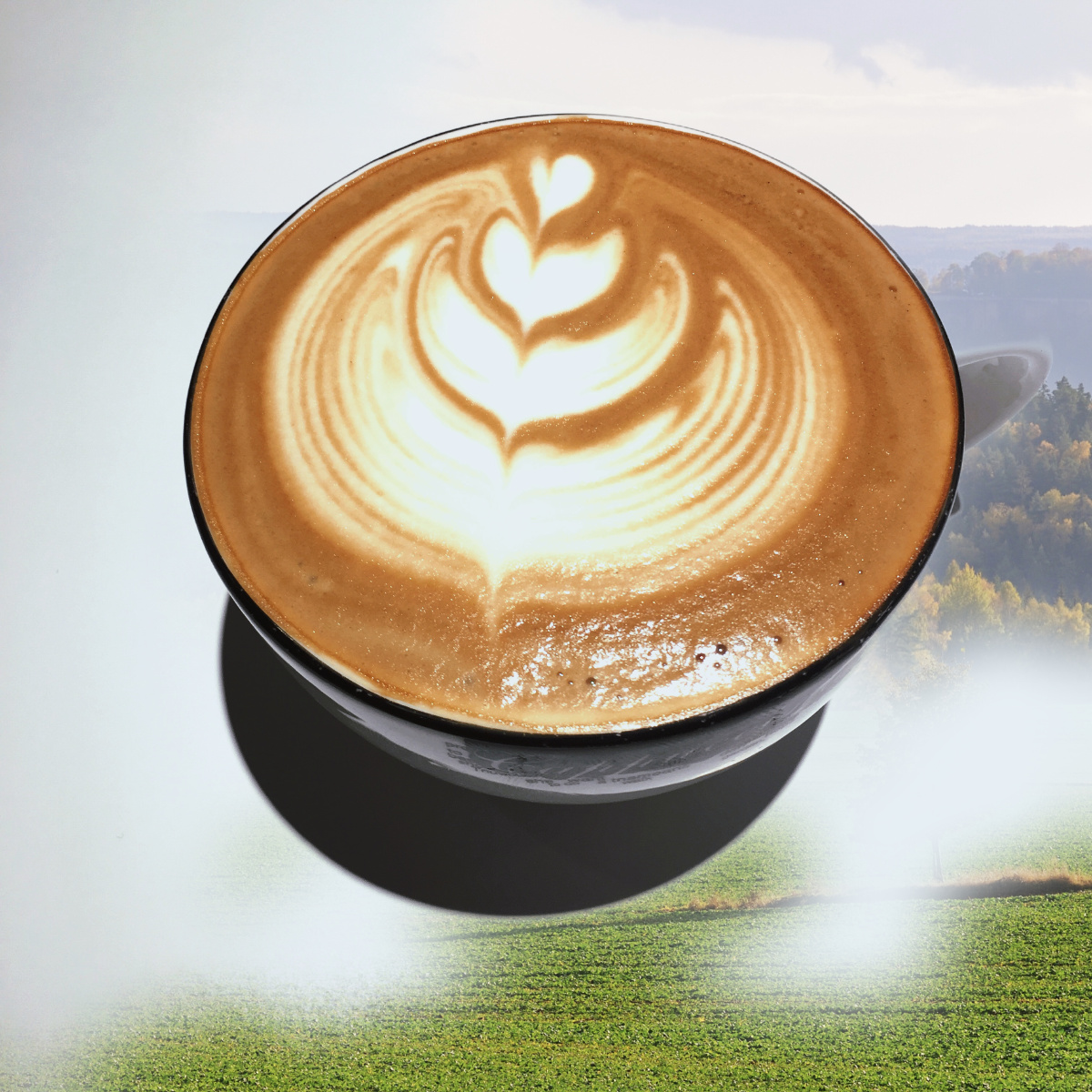 郁金香意式风味咖啡