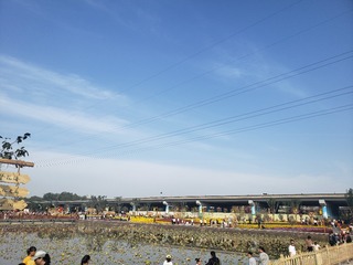 124016