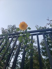 124029
