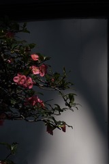 1000186123