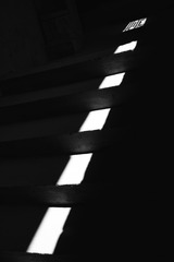 1000191717