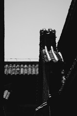 1000191716