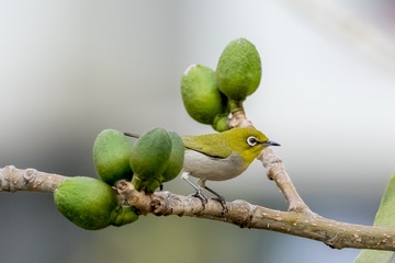 607903