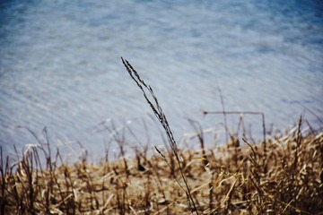fullsizeoutput_427