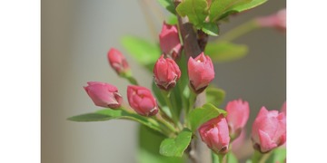 26BBE901-58FB-47EA-9DEA-2FF9A6AF719F/L0/001