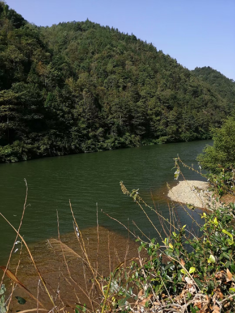 故乡的山故乡的水