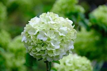75C1E0E1-8124-4465-8EA1-72D83F709F09/L0/001