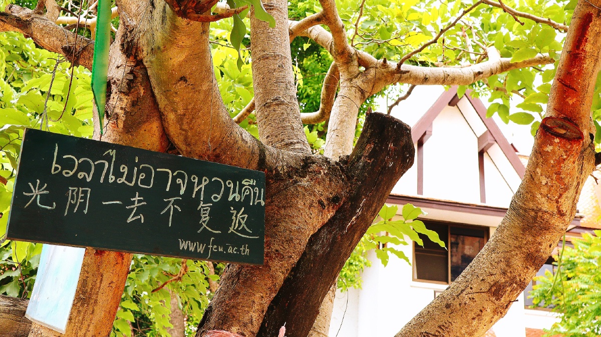 光阴一去不复返