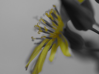 80B61B67-B053-4D16-896F-3E4AB65E0E89/L0/001
