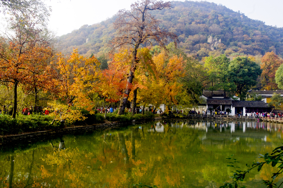 苏州天平山风景名胜区之红枫