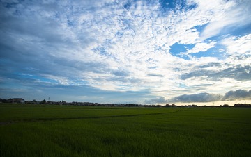 4618