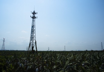 1200697