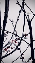 CC240510-84F1-4632-82F6-37B0E658A9A5/L0/001