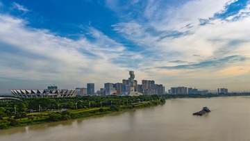 世纪莲