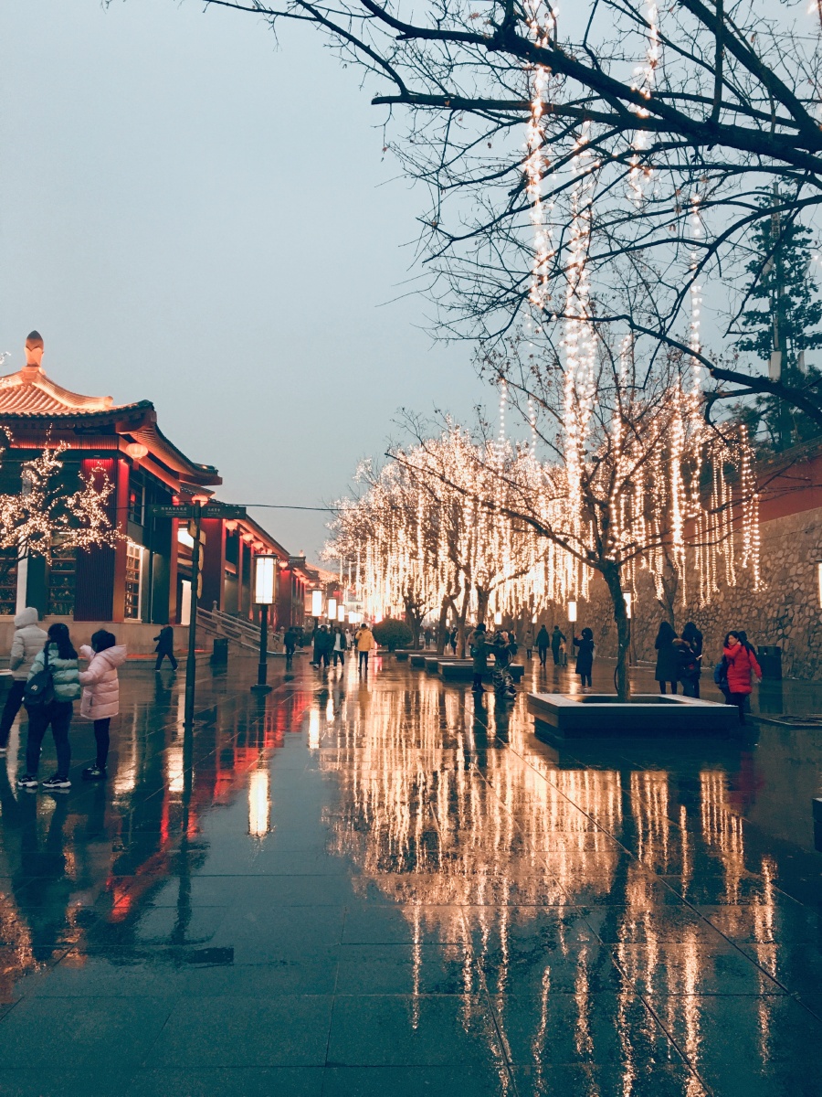 长安尽头无故里