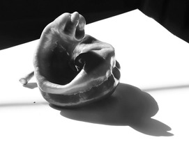 IMG_4956_