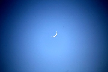 IMG_1153_