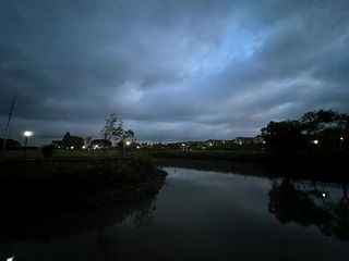 502D4976-5B58-4793-9778-02C5F9446597/L0/001