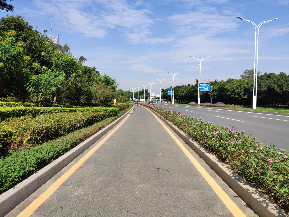 上班途中,风景无限.