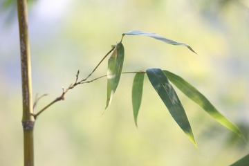 100630