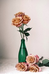 E7CA988E-EBA0-46E9-BF92-11B46C94F008/L0/001