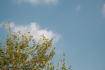 976A9AA4-22E1-4521-A1C8-F198C947EC63/L0/001