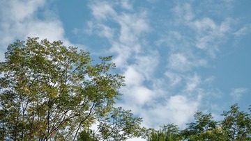 42B9AB03-68D3-4B56-B2FC-C8D04F33487E/L0/001