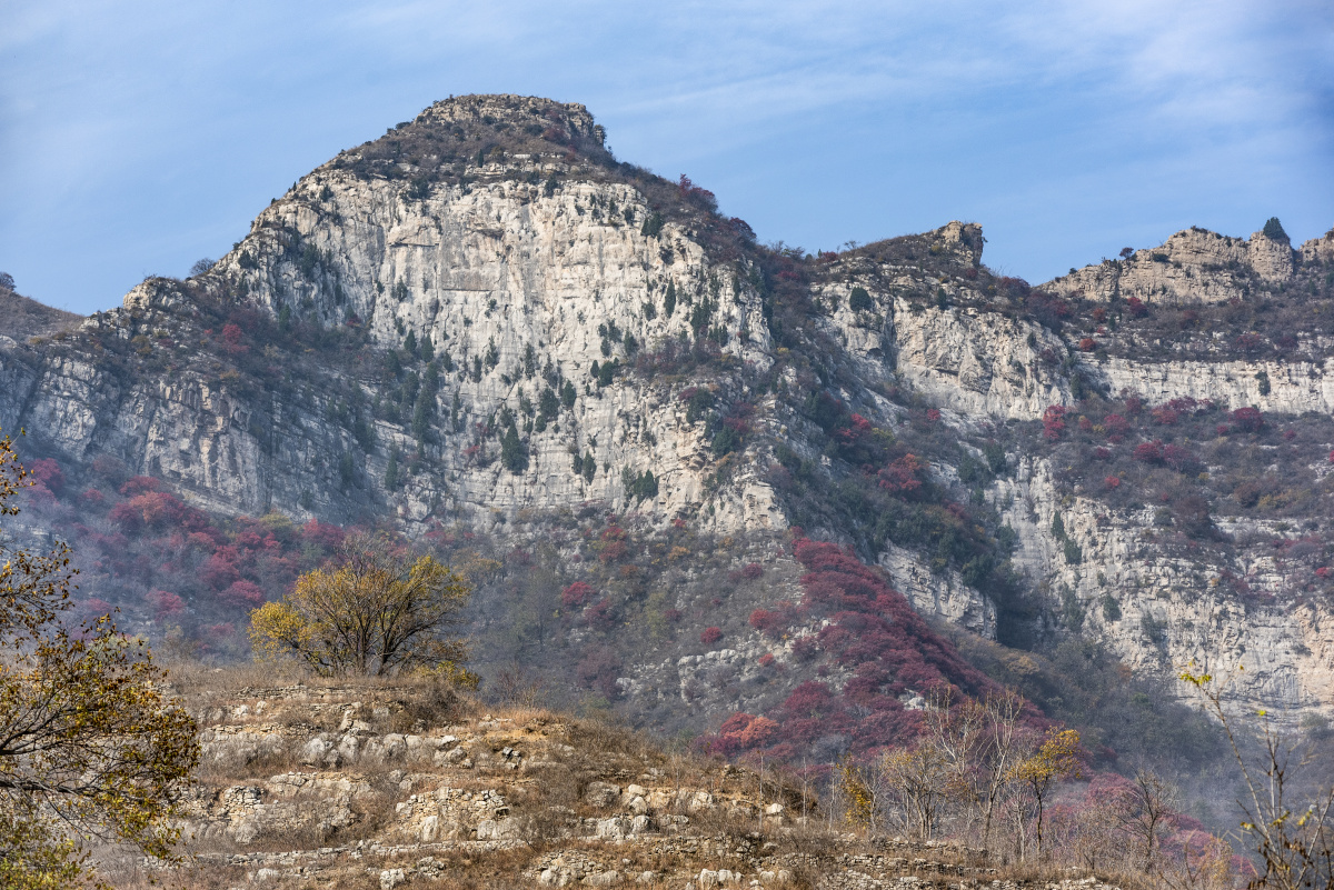 城子城子村马鞍山淄河北镇后村