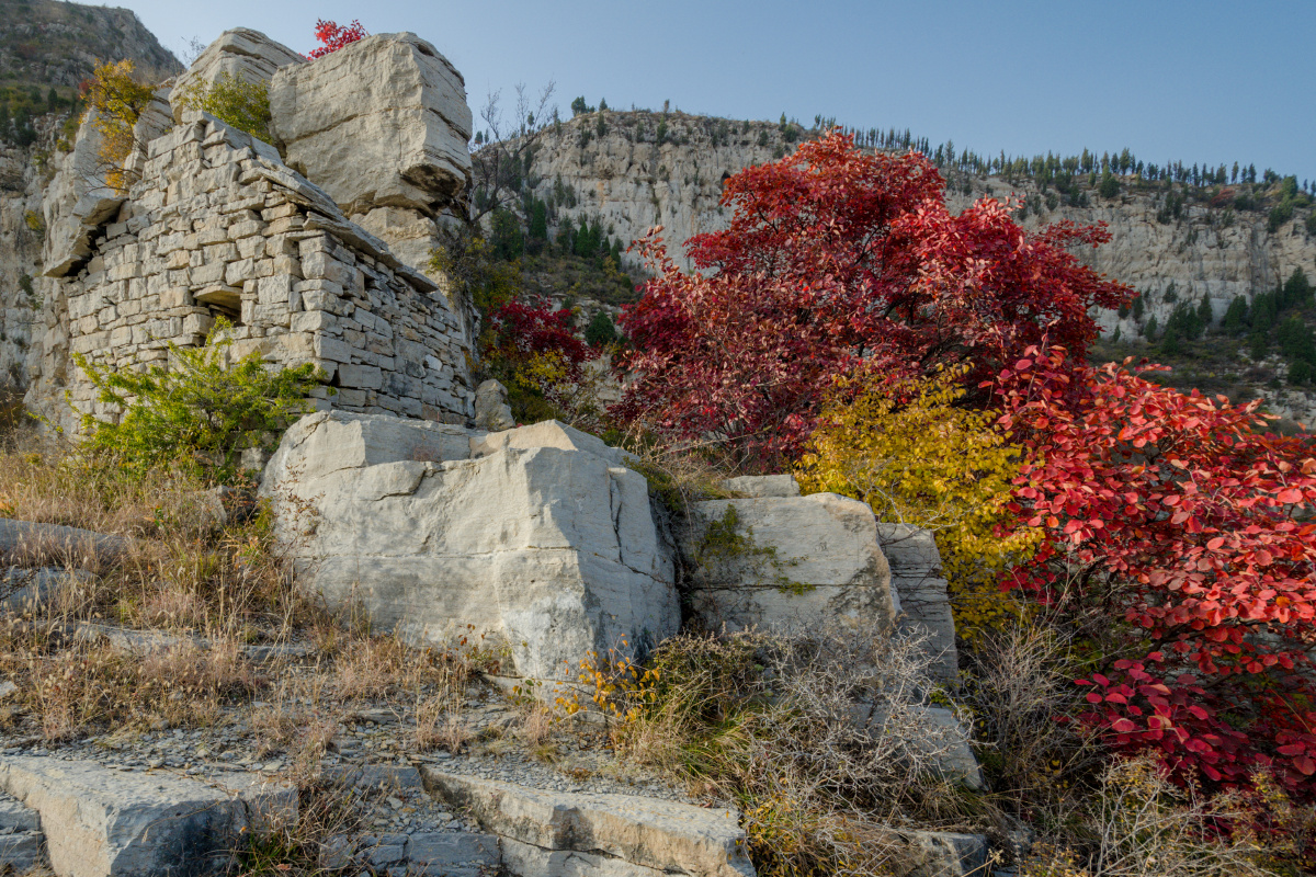 城子北博山九龙山源泉