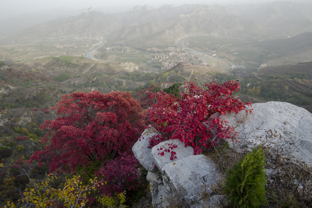 淄川城子村 岳阳山城子段 齐长城城子段 聚峰 岳阴
