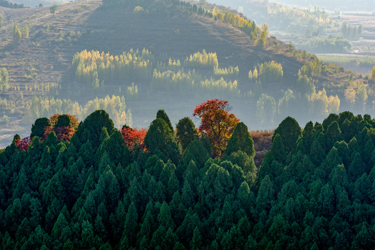 城子北博山九龙山源泉
