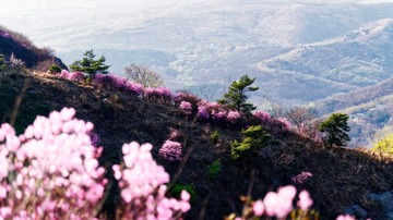 _DSC2603_openWith