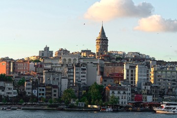 _DSC2779