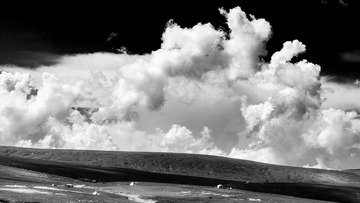 _DSC6131-bw_1