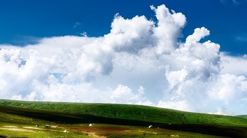 _DSC6131