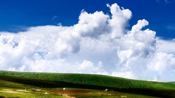 _DSC6131_1