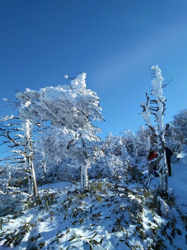 韩国济州岛汉拿山雪景