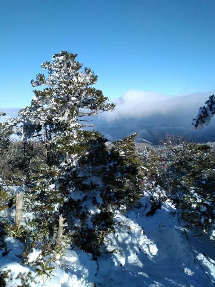 韩国济州岛汉拿山雪景