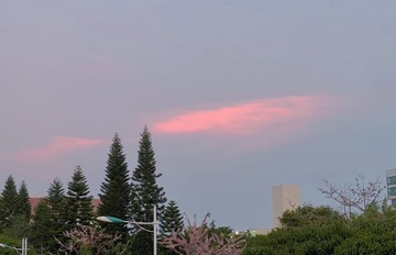 0A5509ED-F069-4654-80AF-8F37A274D7A8/L0/001