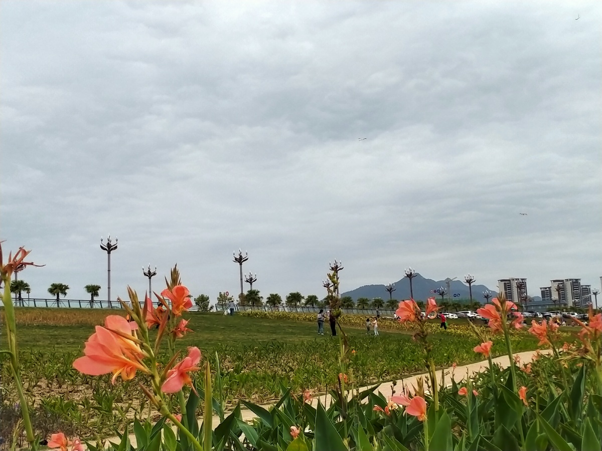 肇庆江滨公园风景靓不