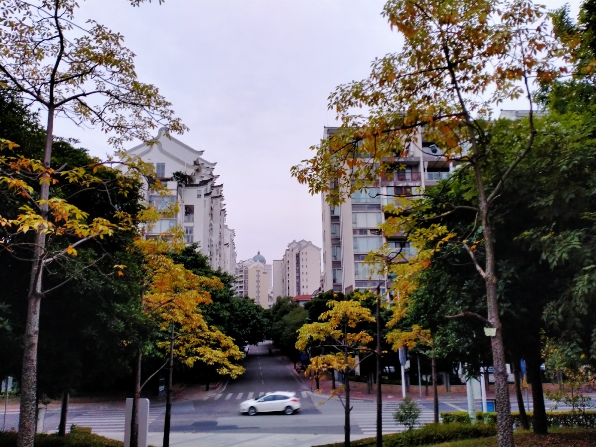 肇庆星湖湾之秋色