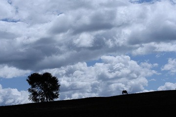 _MG_0654.jpg