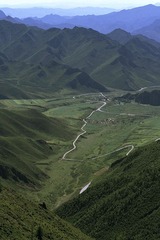 _MG_0735.jpg